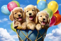 2025年成都肖家河街道贵宾犬宠物医院转让