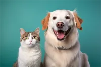 ͸۸һֻǮ(͸۸һֻǮ)