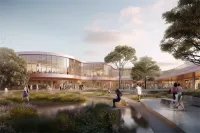 癌症复发阴霾再现，二阳进院之旅探索三阳与三阴癌症之别之深度解读