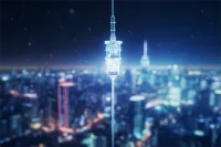 2024꣺¹ԤԼ