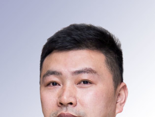 龙维